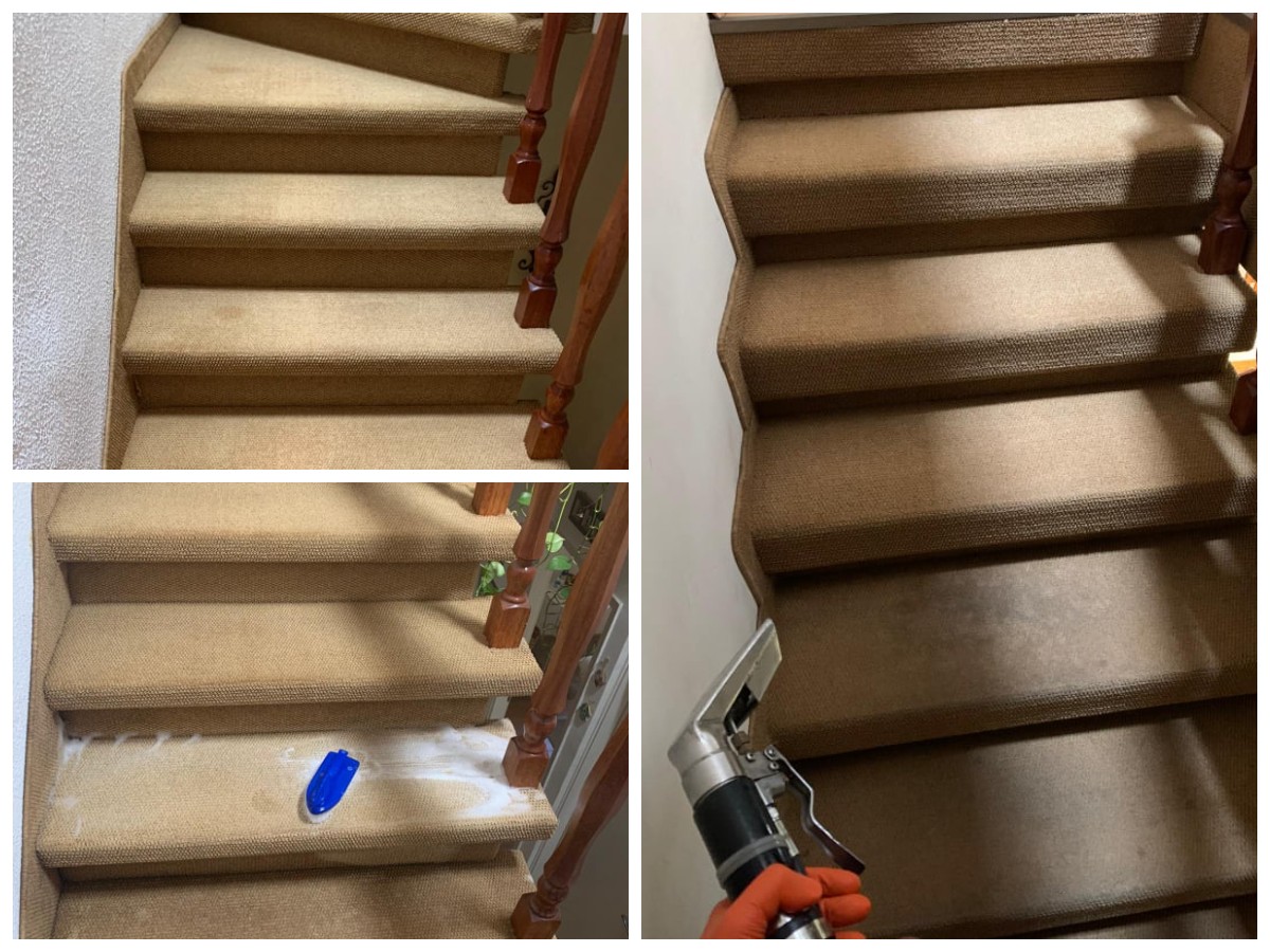 Чистка ковров и мягкой мебели в Израиле